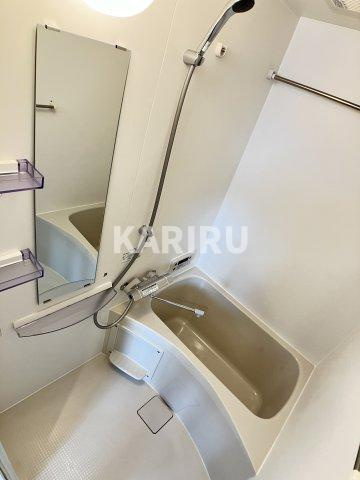 ワールドアイ大阪城EASTアドバンスの浴室