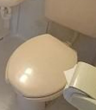 エクセリア新宿のトイレ