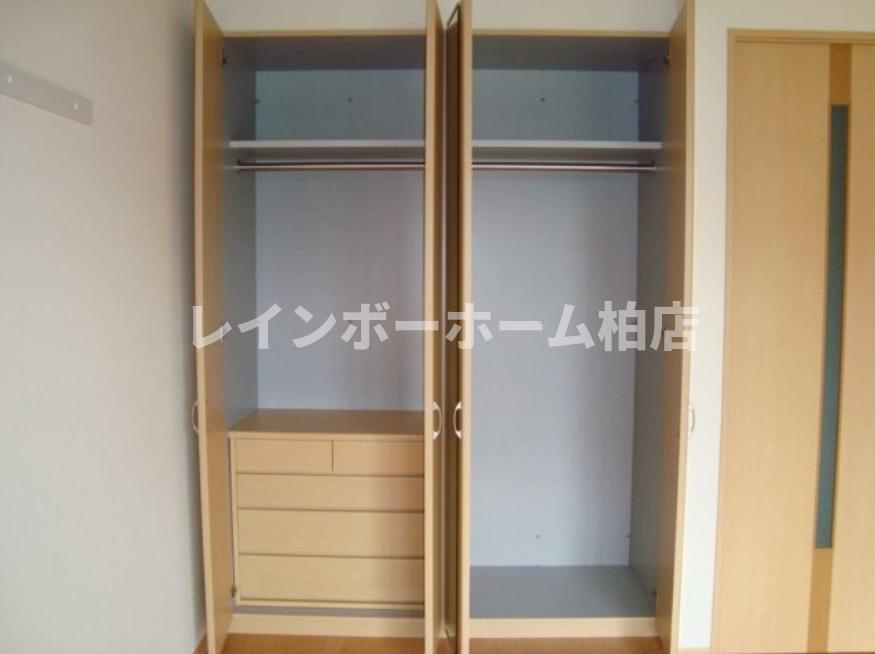 【仲介手数料：50％OFF】対象物件！の収納|収納スペース豊富です
