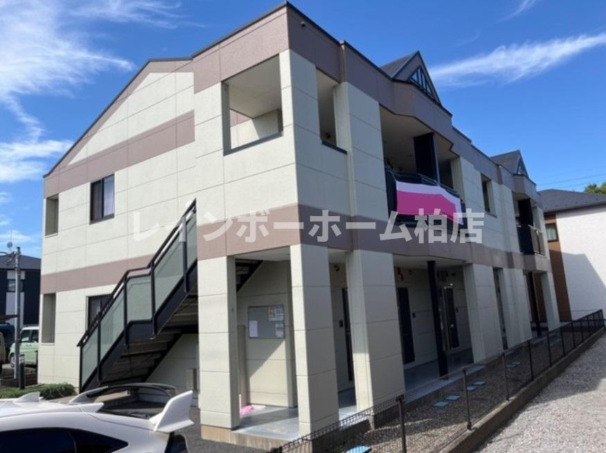 【仲介手数料：50％OFF】対象物件！の外観|建物外観を気になさる方へ、見た目の良い物件です