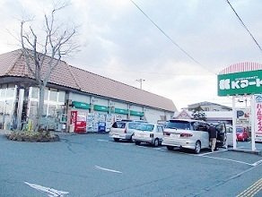ロイヤルパーク東上野の周辺|Kマートまで1100m