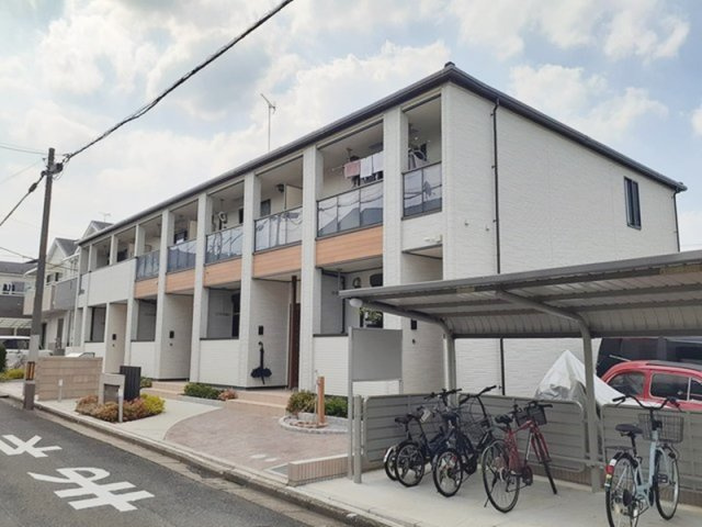 シェルティ