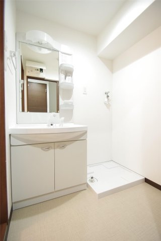 クロノス29新町の洗面所