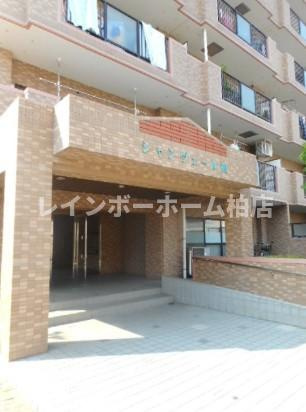 【仲介手数料：50％OFF】対象物件！のエントランス|毎日通るエントランスはこのようになっています