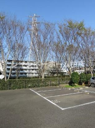 【仲介手数料：50％OFF】対象物件！の駐車場|駐車場があります