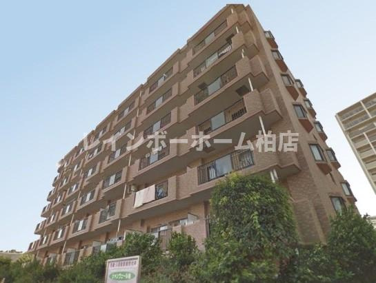 【仲介手数料：50％OFF】対象物件！