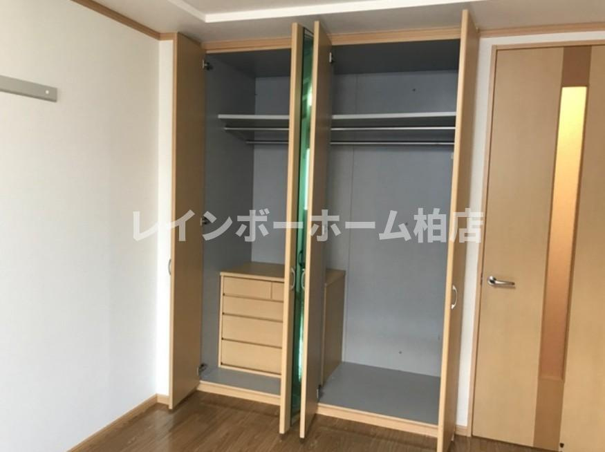 【仲介手数料：50％OFF】対象物件！の収納|こまごまとしたものを収納できそうですね