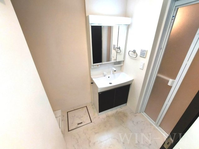 Act Dream Home Ⅱの洗面所|イメージ（同建物内別部屋の写真です）