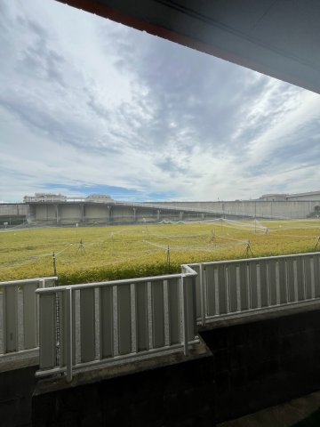 ドリームコート甲東園の展望