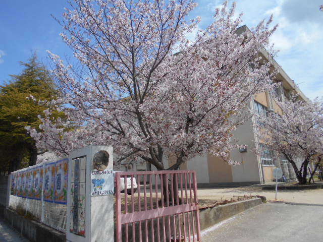 和歌山市中島倉庫　Ⅱの周辺