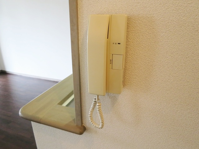 メゾンサンセールのセキュリティ|インターホンございます。