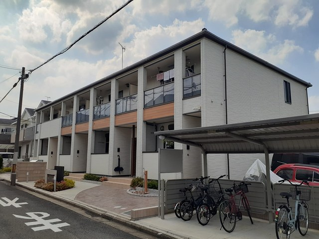 シェルティの外観
