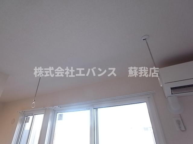  | AALII（アアリイ）Ⅲ