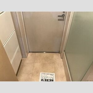 ラグジュアリーアパートメント森下の玄関