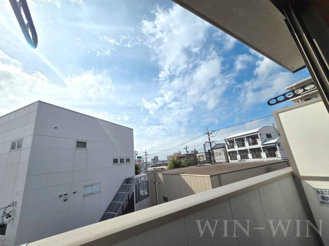 フィールドMの展望