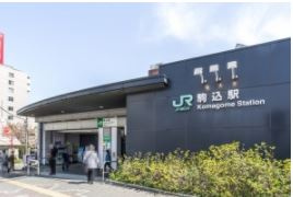 日神パレステージ本駒込の周辺|周辺環境