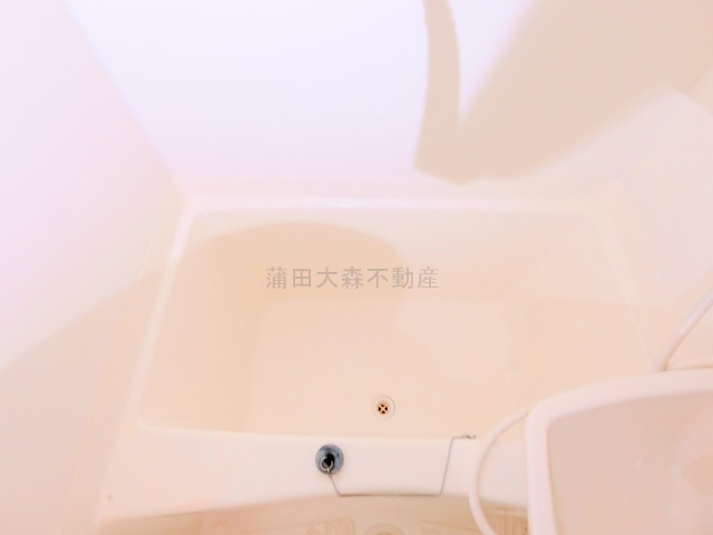 サンテミリオン池上駅前の浴室