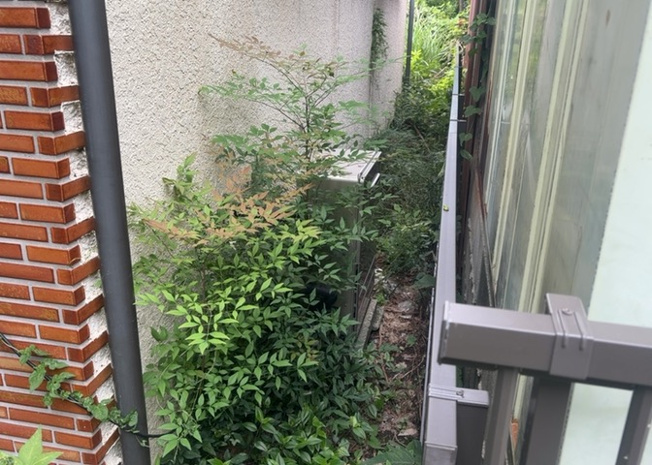 【発電・温水設備】 | 省エネ給湯器とは従来型の給湯器より熱効率が高く、少ない燃料でたくさんのお湯を沸かすことが出来る高効率な給湯器のことを指します。また、省エネ給湯器には種類があり、利便性や効果なども様々です。