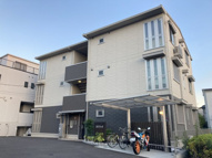 コエドラーパの画像