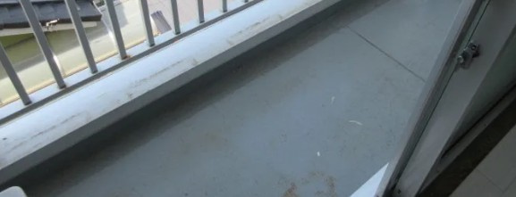 ラデヴィーナ鴻巣Ⅱのバルコニー