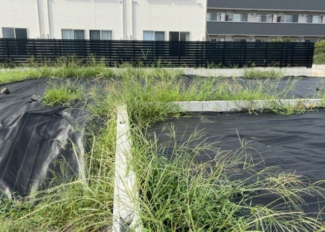 【前面道路含む現地写真】 | ハザードマップは自然災害による被害を予測し、その被害範囲を地図上で表したものです。近年特に災害が多くなっていますので、事前に調査すると安心できます。ハザードマップは国交省のホームページをご覧ください。