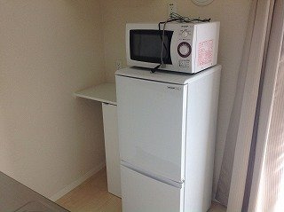 レオネクストリバーサイドⅡのその他|家電はお部屋によってサイズが異なります。
