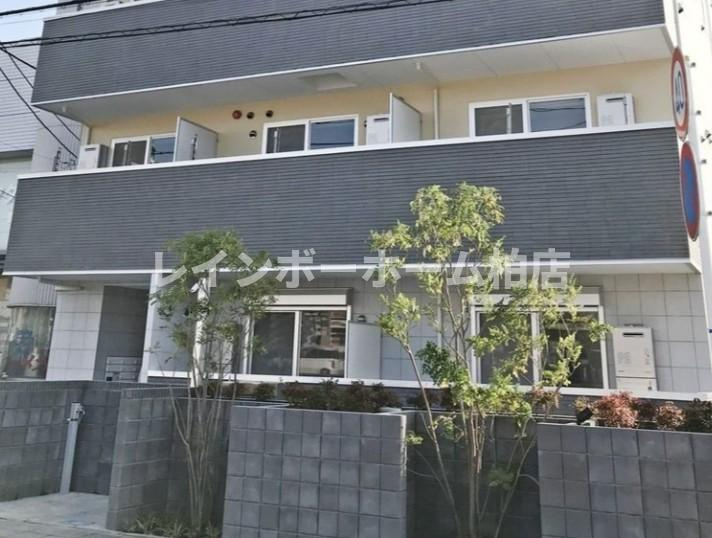特典：仲介手数料が50％OFFです‼のエントランス|落ち着いたエントランスです