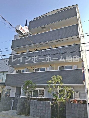 特典：仲介手数料が50％OFFです‼の外観|きれいな外観です