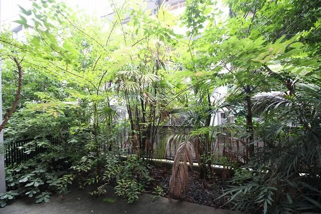 ＰＡＲＫ　ＰＲＥＭＩＥＲ　広尾の展望