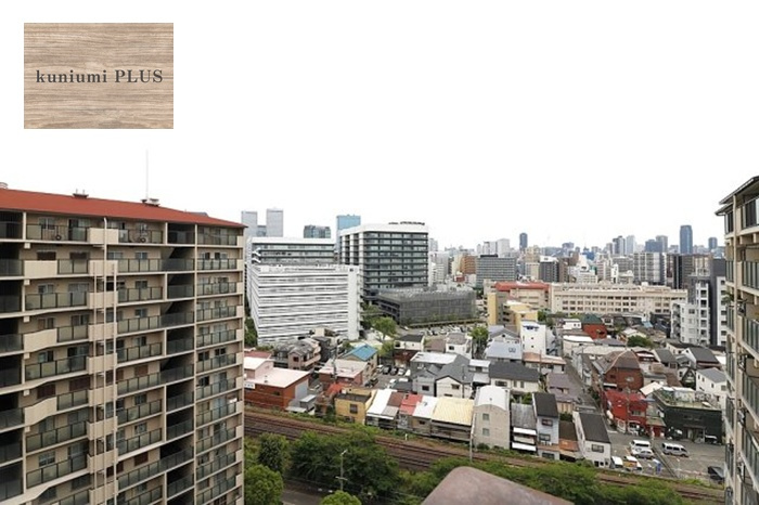 京橋グリーンハイツ三号棟の展望