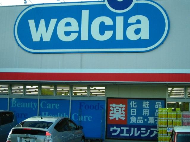 リオグランデの周辺|ウエルシア薬局越谷登戸店まで928ｍ