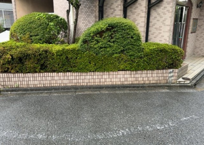 【庭】 | ライオンズマンション八王子第三 | 物件によっては、入居者が個人的に使用できる専用庭がついているものもあります。また、住宅の中にある土間の部分を庭と呼ぶこともあります。庭の用途は住む人によって変わり、それによってデザインもさまざまです。