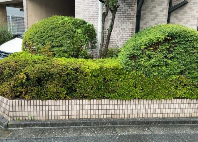 【中庭】 | ライオンズマンション八王子第三 | 中庭（パティオ）とは、一つの建築物の内部に設けられた、壁などで囲われている庭のことを指します。コの字型、ロの字型が主流ですが、L字型の中庭もあります。最近では、インテリア性の高さからも人気があります。