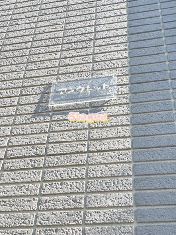 アンクレットのその他