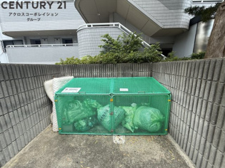 グレース園田のその他物件画像