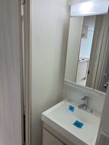 S-RESIDENCE東日暮里の洗面所