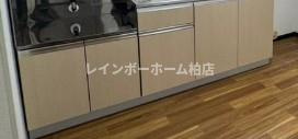特典：仲介手数料が50％OFFです‼の収納|大きなものも収納できそうです