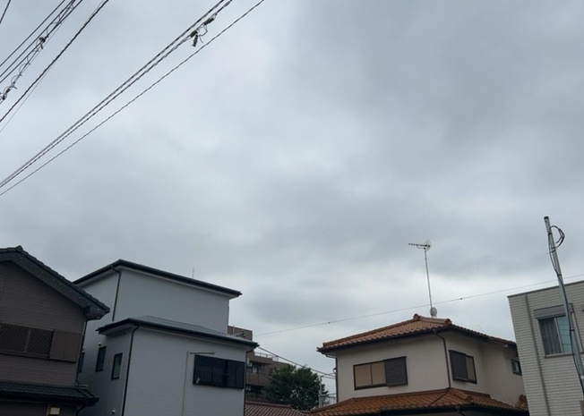 【展望】 | 土地の地勢が高台の場合、景色を綺麗にみることができ、景色にこだわってお家探ししている方におすすめです！また平坦地よりも風通しがいいというメリットがあります。デメリットもあるので是非現地でご確認下さい。