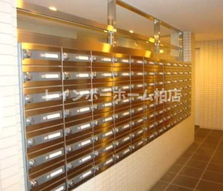 特典：仲介手数料が半額です!!のその他共用部分|メールボックスです