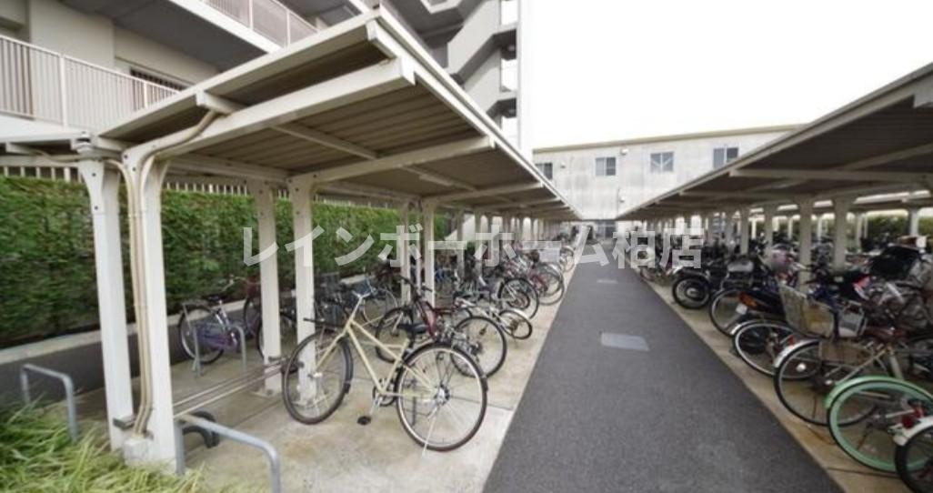 特典：仲介手数料が半額です!!のその他共用部分|駐輪場です