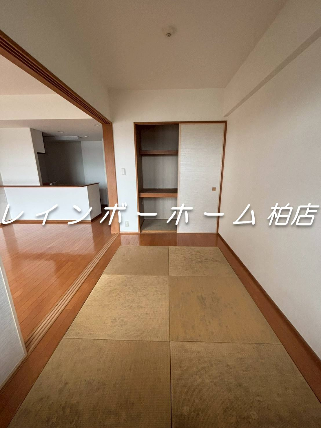 特典：仲介手数料が半額です!!