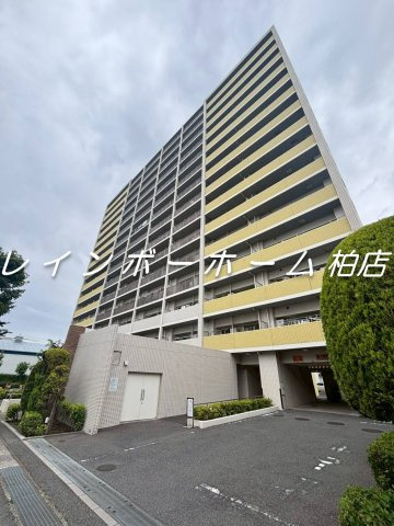 特典：仲介手数料が半額です!!
