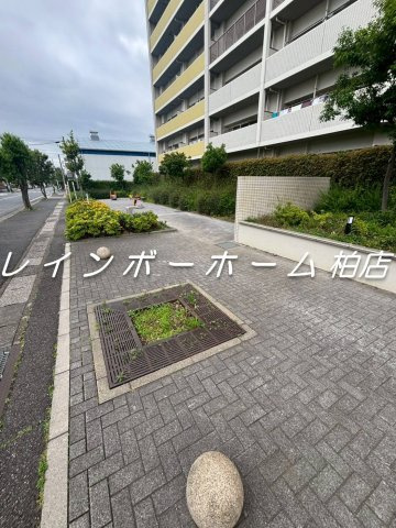 特典：仲介手数料が半額です!!