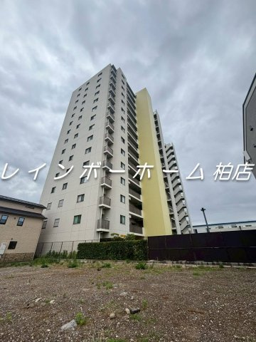 特典：仲介手数料が半額です!!