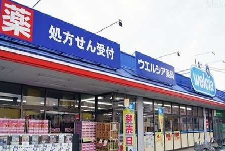 グレイスフルハウスの周辺|ウエルシアまで950m
