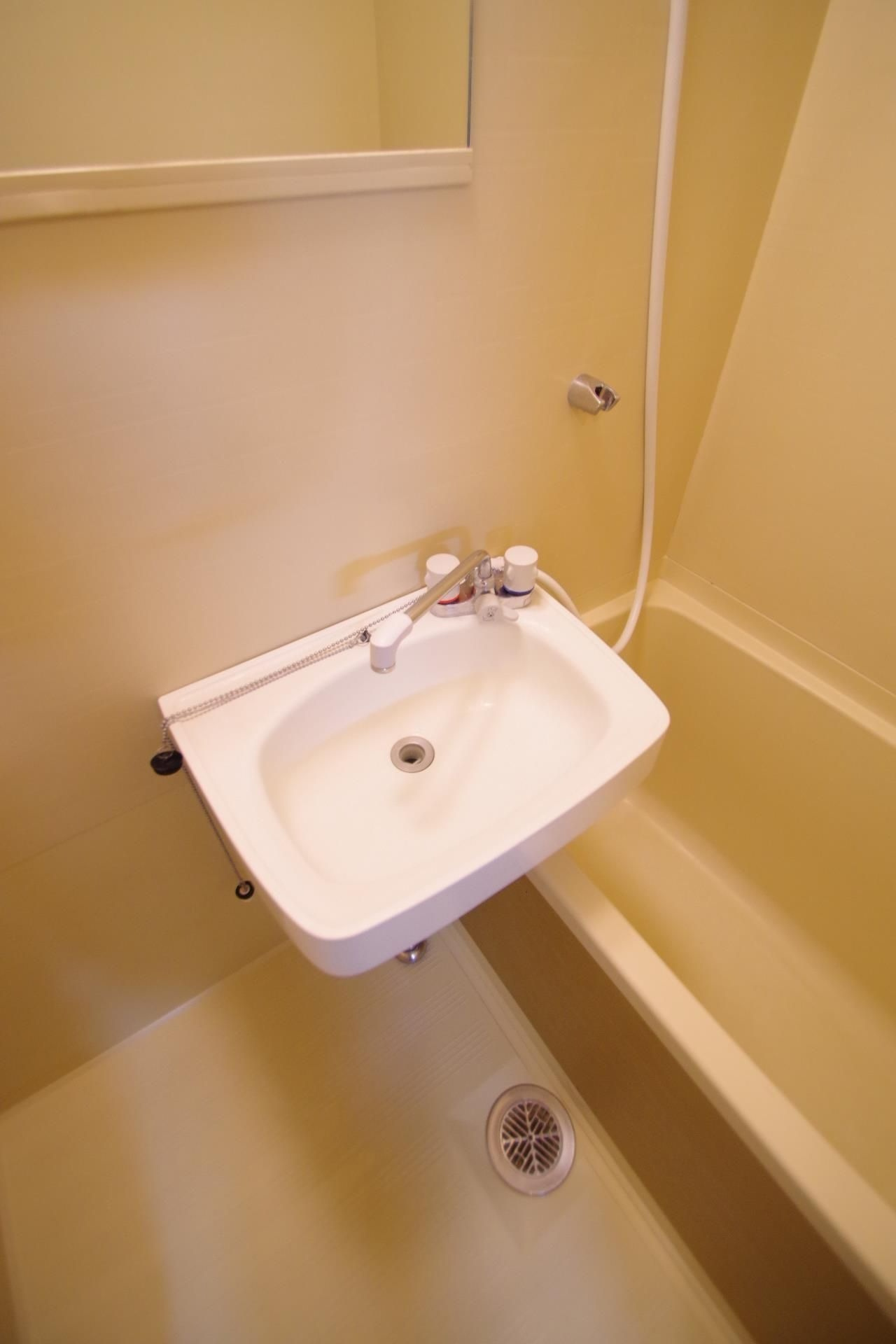 コート新屋敷の洗面所