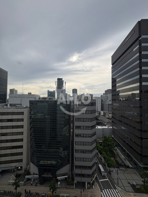 ディーグラフォート大阪NYタワー肥後橋　西船場小学校区のその他共用部分|ディーグラフォート大阪NYタワー肥後橋　眺望（東側）