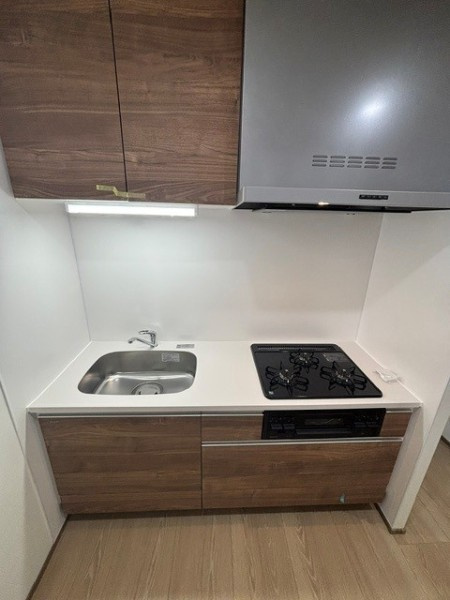 Ｔｈｅ　Ｓｈｉｎａｇａｗａ　Ｅａｓｔ　Ｒｅｓｉｄｅｎｃｅのキッチン|きれいなキッチンです