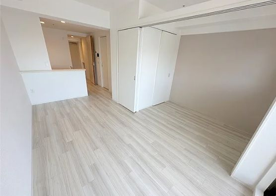 大阪市浪速区桜川１丁目の賃貸マンションの内装