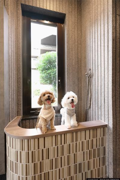 エマーレ保谷のその他